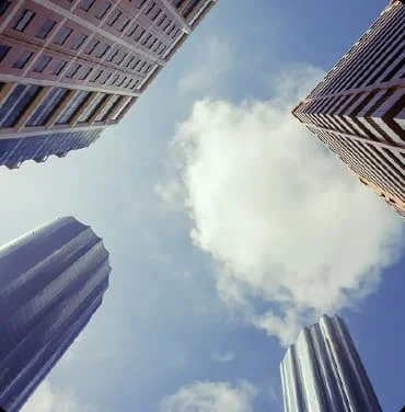 Established Corporates