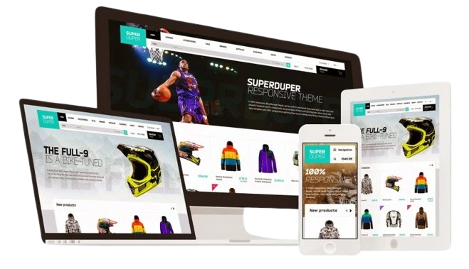 Ecommerce Software Development