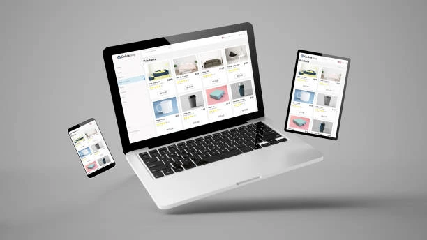Ecommerce Website Development