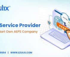 AEPS Service Provider - Way to Start AEPS Company