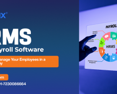 HR and Payroll Software for Small Business