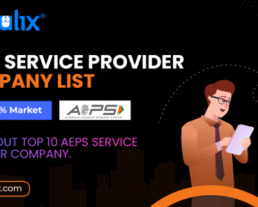 aeps service provider company list