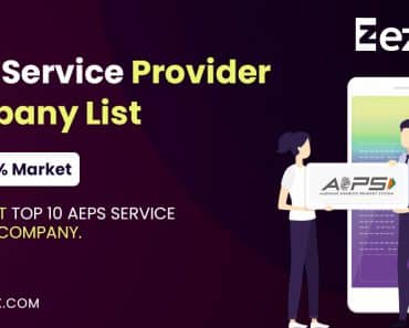 top 10 aeps service provider companies list