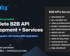 B2B API Development Service for Recharge, AEPS, BBPS, CIBIL