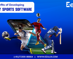 Benefits of Developing A Fantasy Sports Software 
