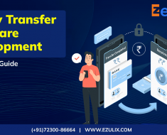 money transfer software development