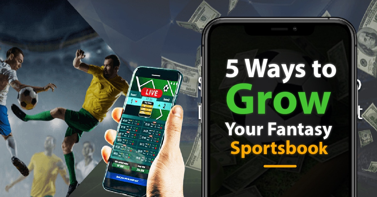 5 Ways to Grow Your Fantasy Sportsbook Fantasy App Software